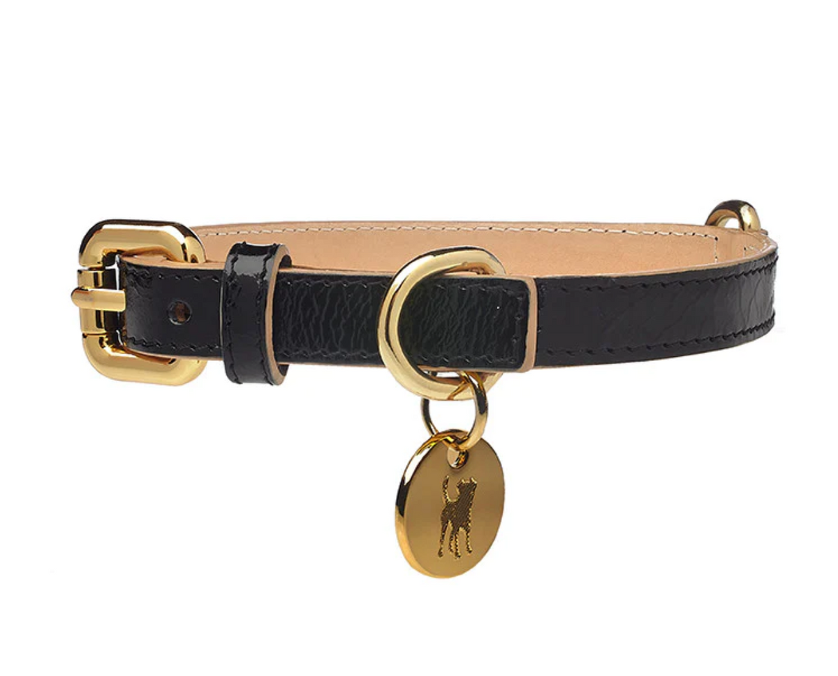 Collar para Perro de Cuero Negro Patente