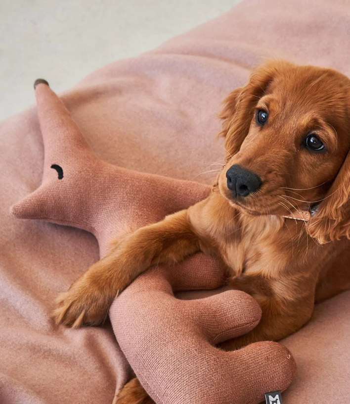 Bosco