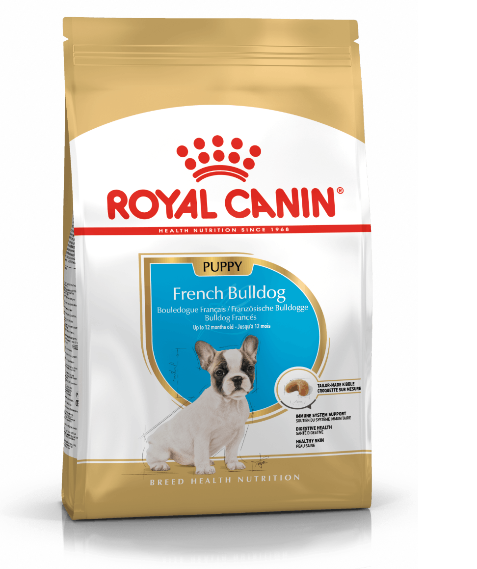 French Bulldog Junior Royal Canin