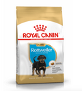 Rottweiler Junior Royal Canin