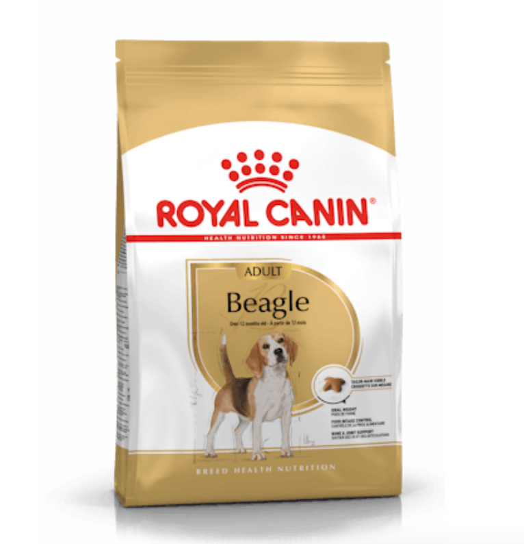 Beagle Adult Royal Canin