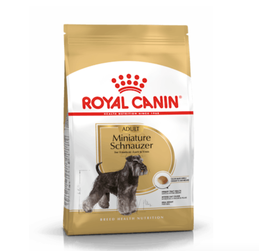 Miniature Schnauzer Adult Royal Canin