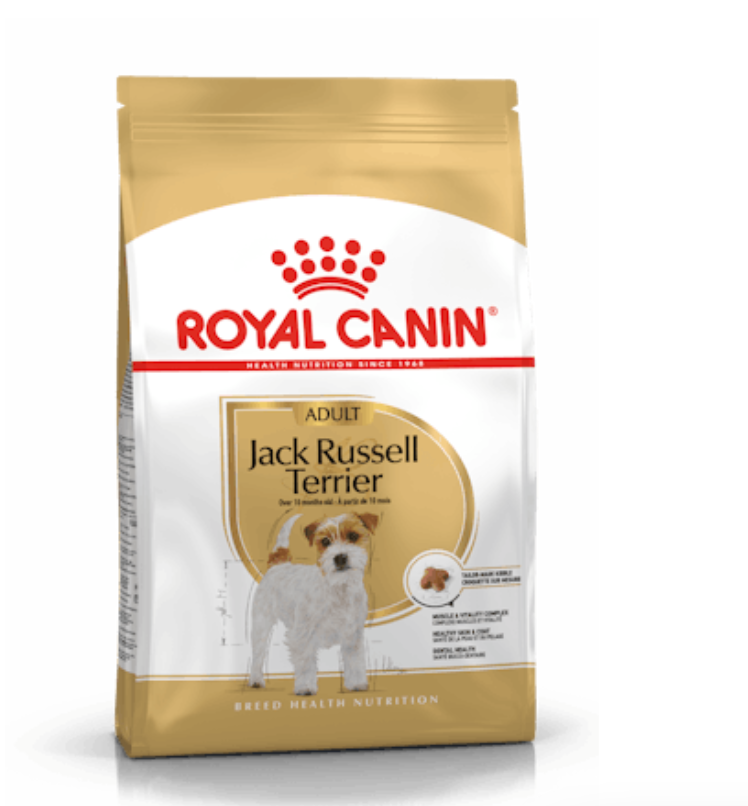 Jack Russell Adult Royal Canin