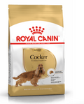 Cocker Adult Royal Canin