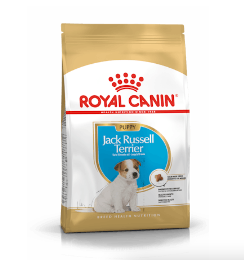 Jack Russell Junior Royal Canin