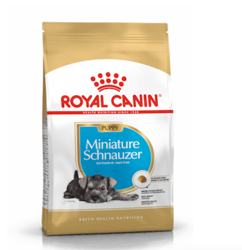 Miniature Schnauzer Junior Royal Canin
