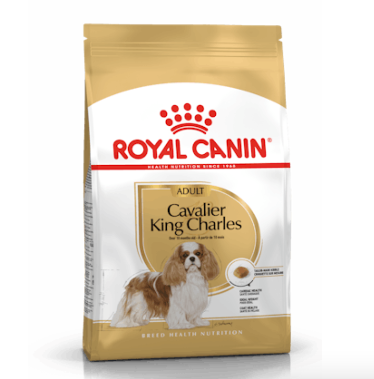 Cavalier King Charles Adult Royal Canin