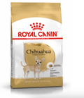 Chihuahua Junior Royal Canin