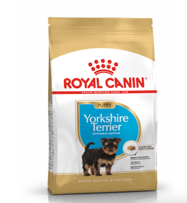 Yorkshire Junior Royal Canin
