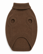 Jersey teddy