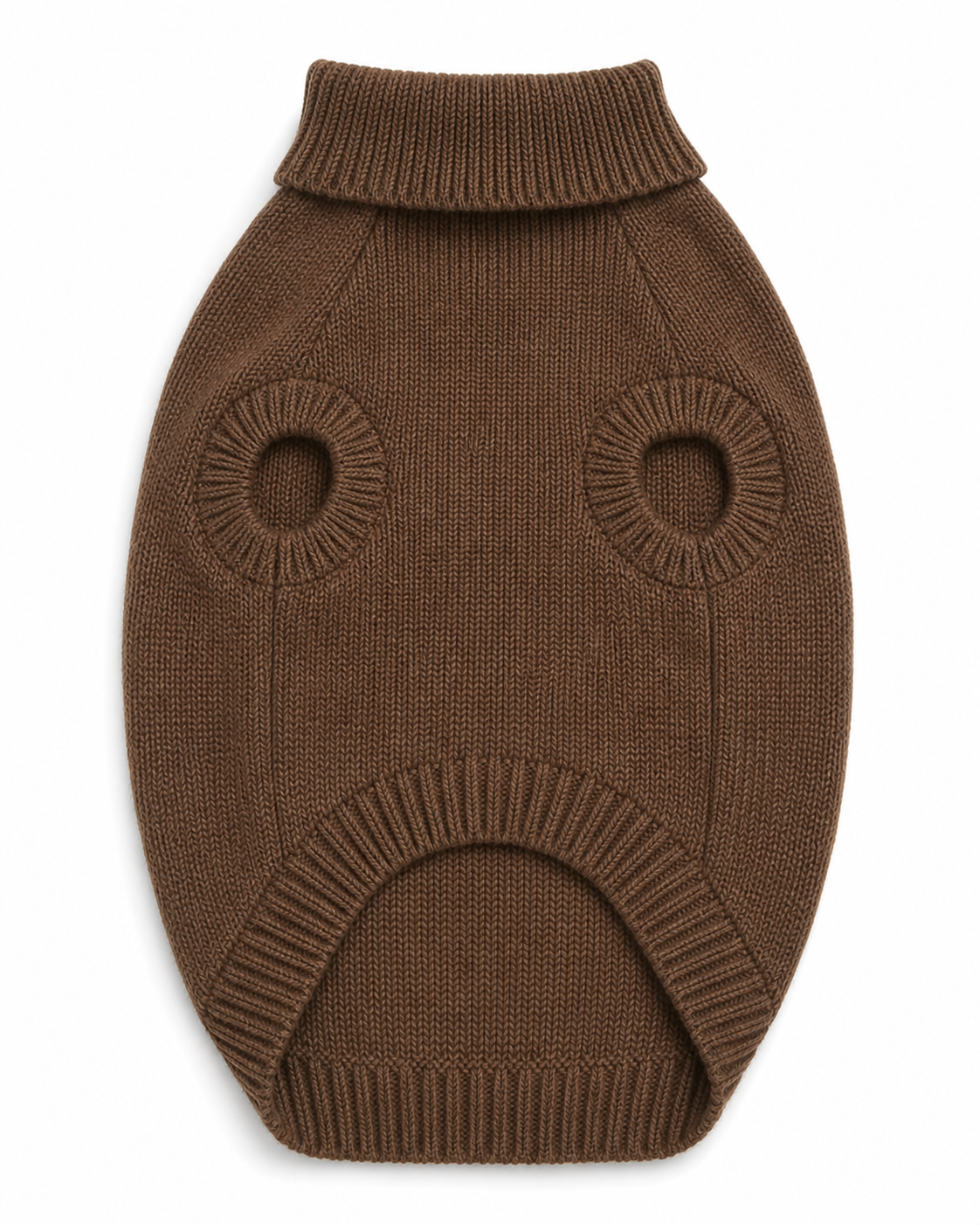 Jersey teddy