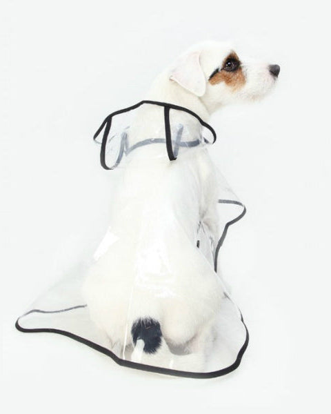Chubasquero transparente Doggie City
