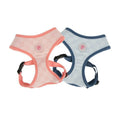 Clement Harness Pinkaholic