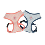 Clement Harness Pinkaholic