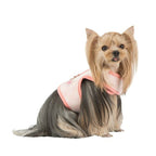 Clement Pinka Harness Puppia