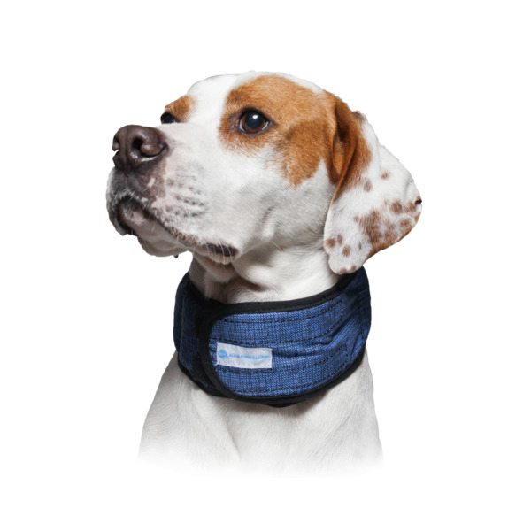 Collar refrescante Aqua Coolkeeper