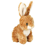 Conejo