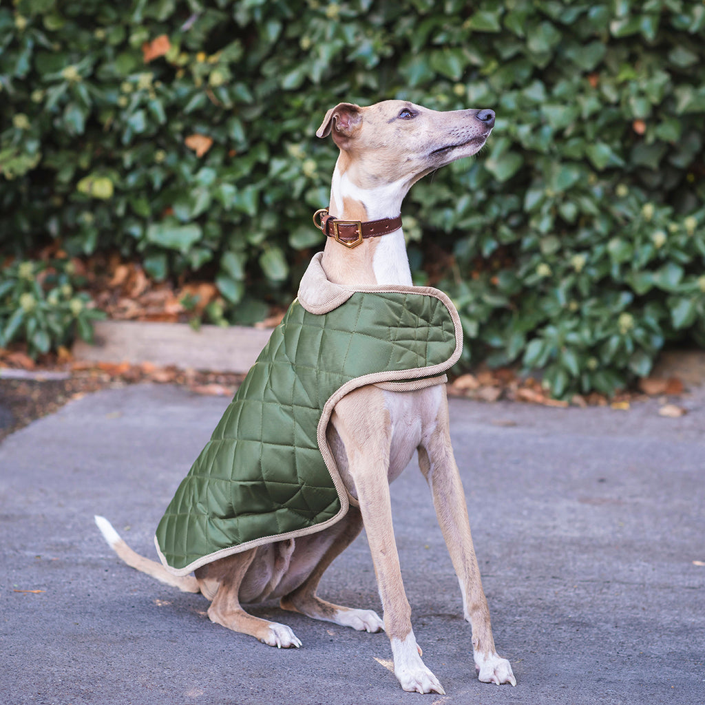 Quilted Dog Coat Blue - Quilted dog coat