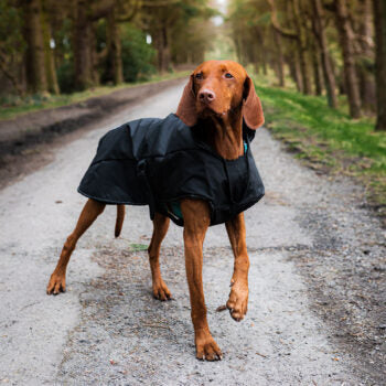 Arnés 2 en 1 Ultimate Dog Coat Azul