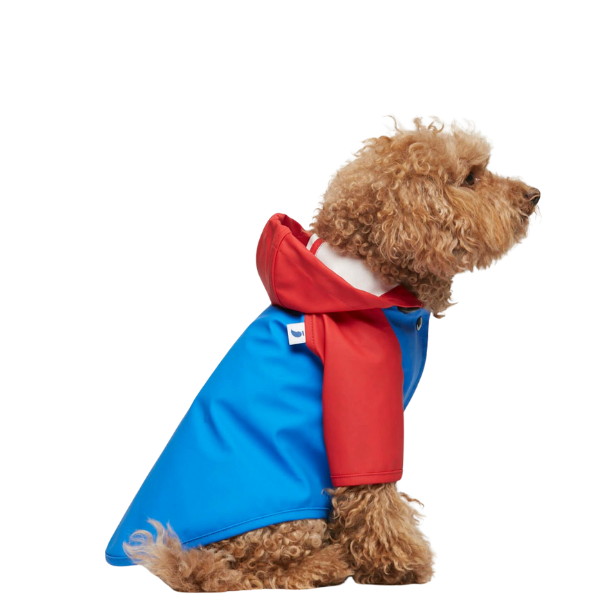 Impermeable Sarah Azul y Rojo