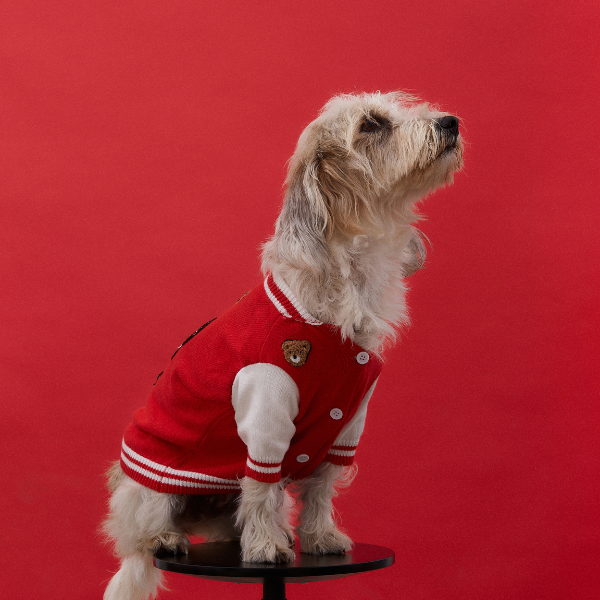 Mookie jacket rojo Aristopet