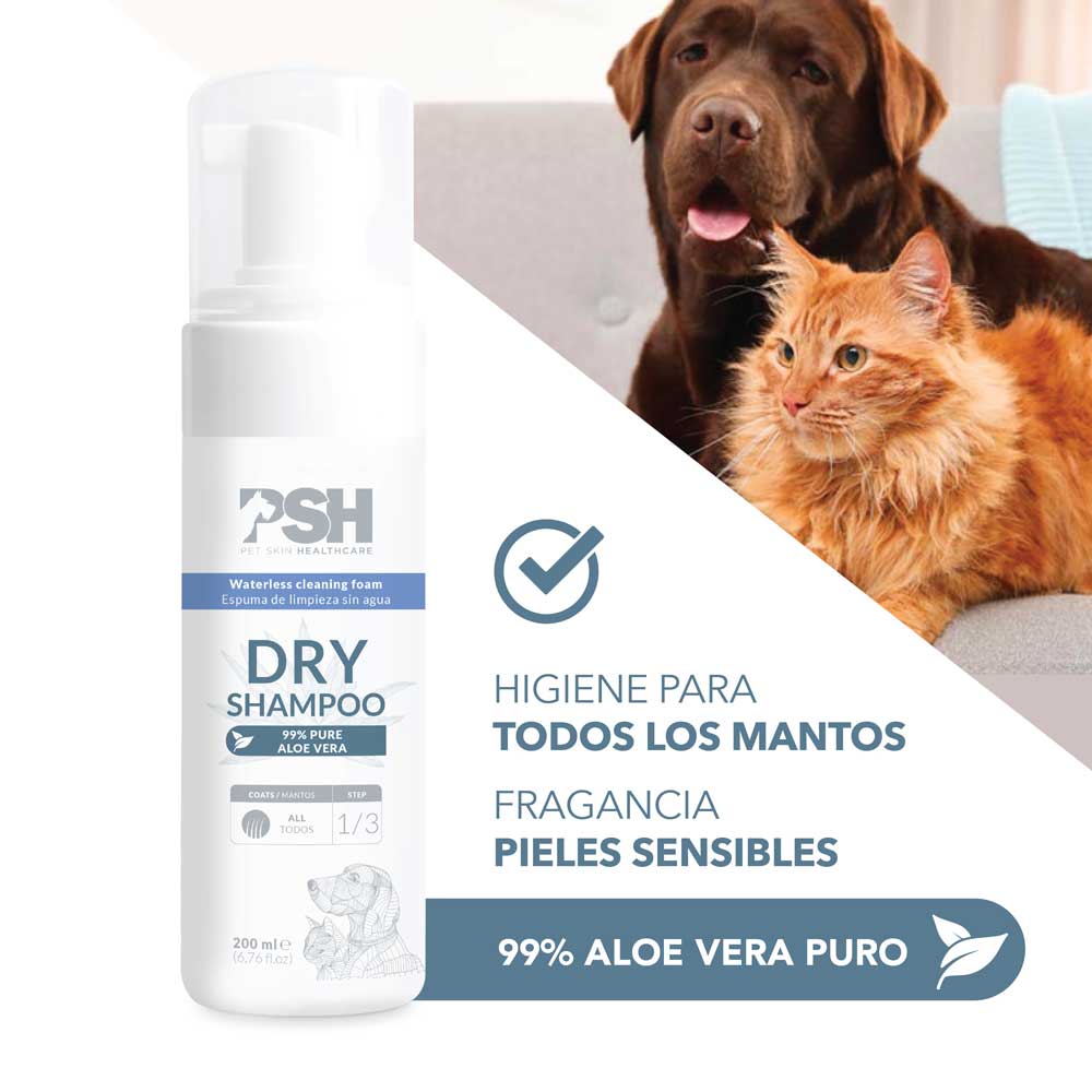 Foam Dry Shampoo – Dry Shampoo PSH