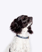 FatFace Marching Dogs Collar Danish