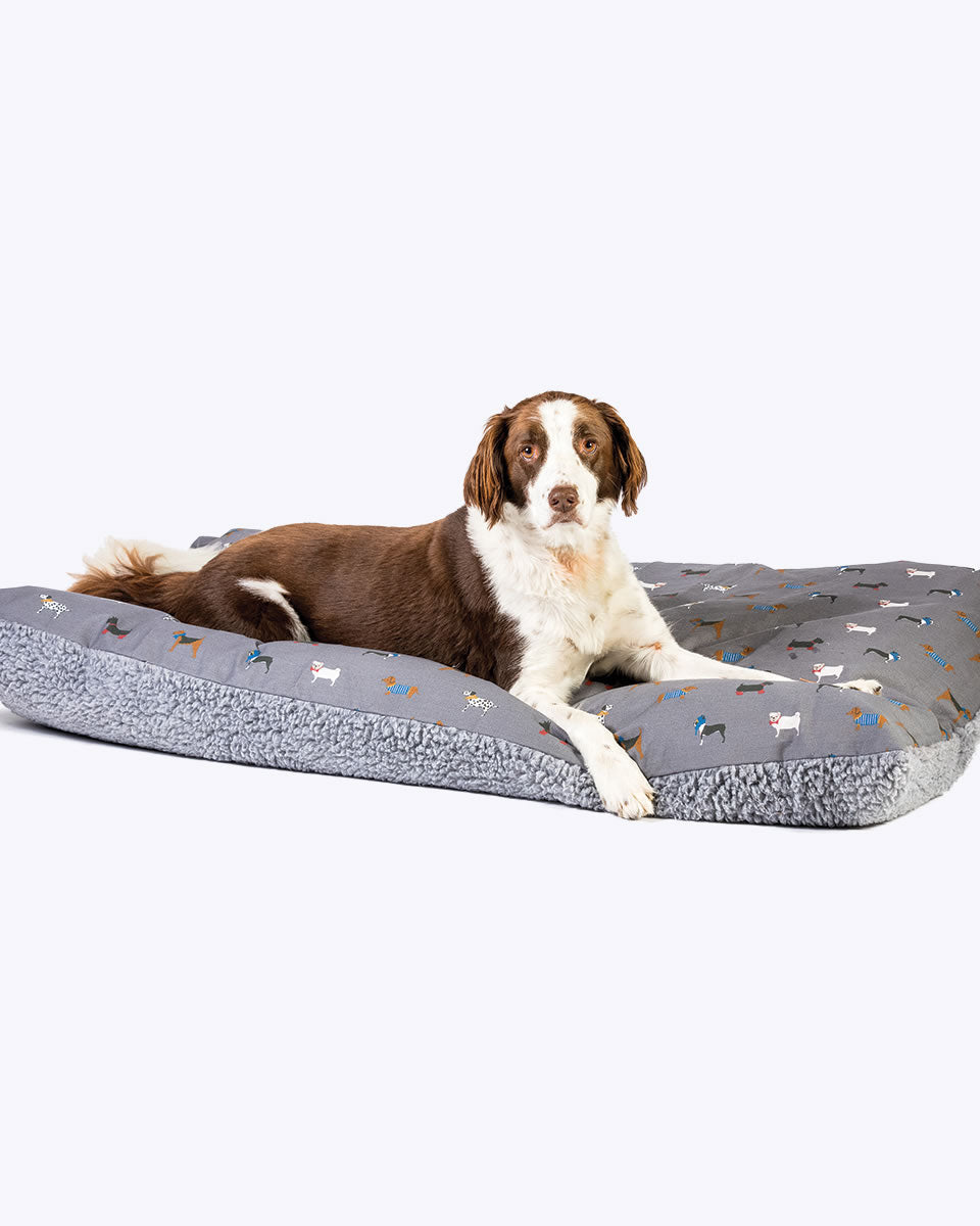 Cama Cojin Marching Dogs FatFace Danish