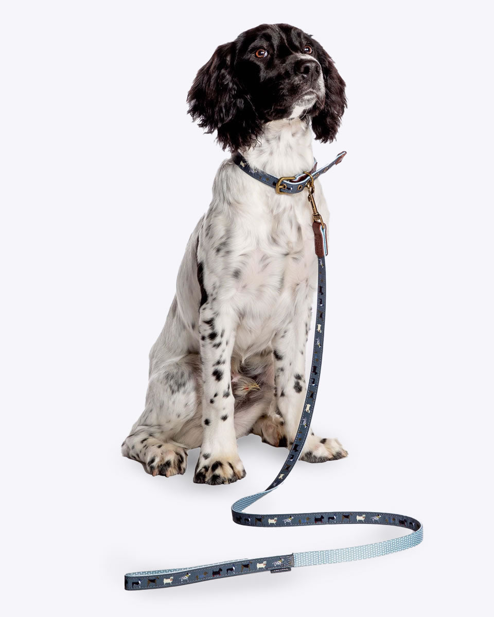 FatFace Marching Dogs Leash Danish