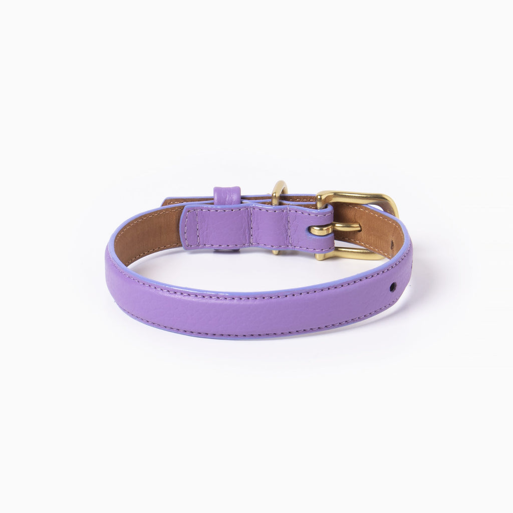 Fairy Collar Ramona For You