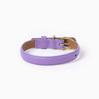 Fairy Collar Ramona For You