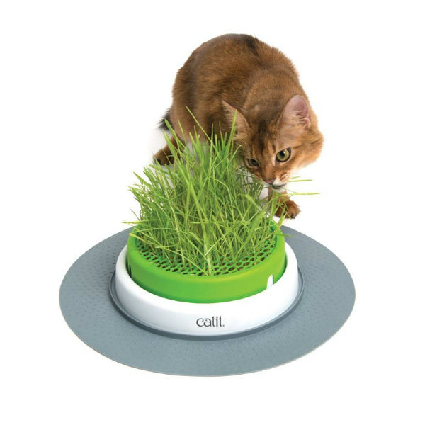 Germinador Hierba Gatera Catit Senses 2.0