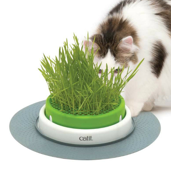 Germinador Hierba Gatera Catit Senses 2.0