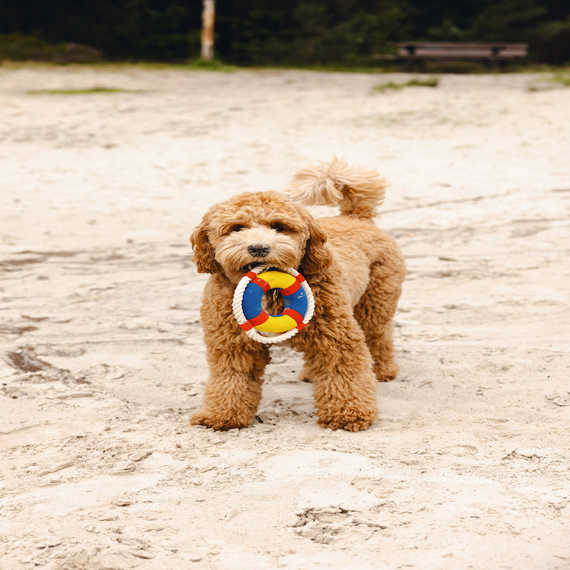 Beeztees Neoprene Floating Dog Toy