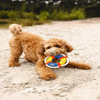 Beeztees Neoprene Floating Dog Toy