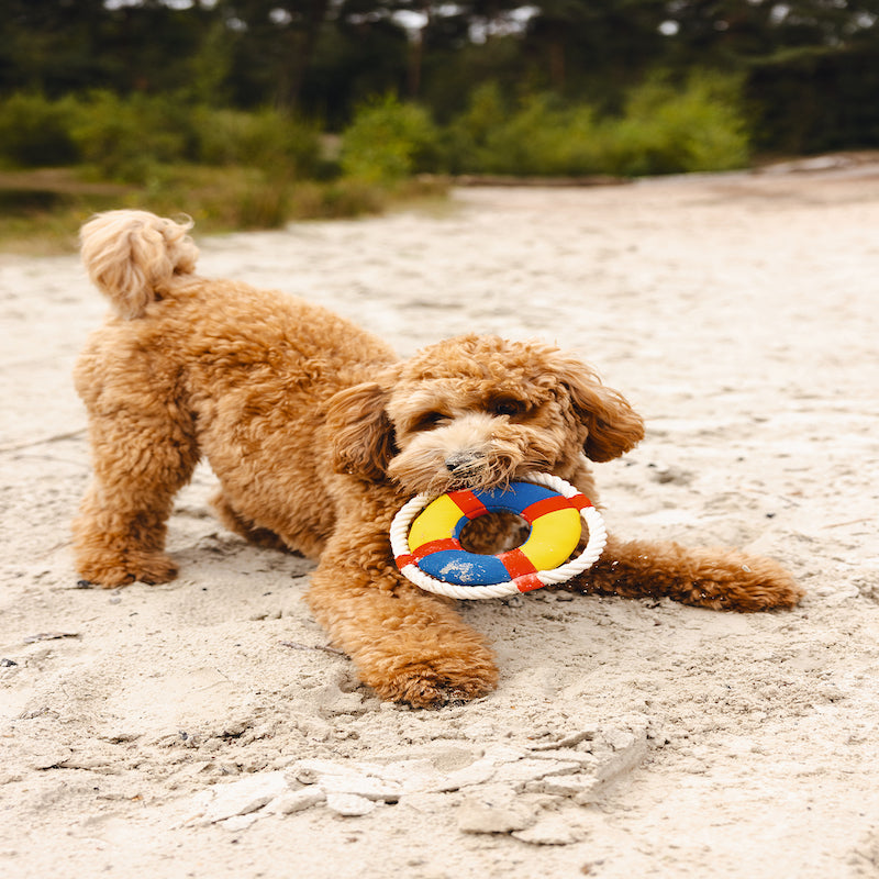 Beeztees Neoprene Floating Dog Toy