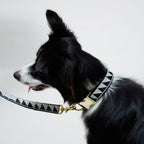 Collar para Perro Nice Grill