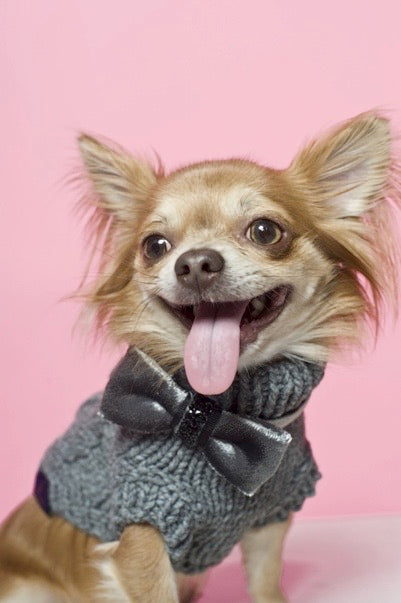 Sweater for Dog or Cat Precious Grey