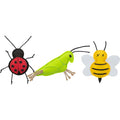 Insecto