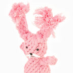 Juliana The Pink Rabbit