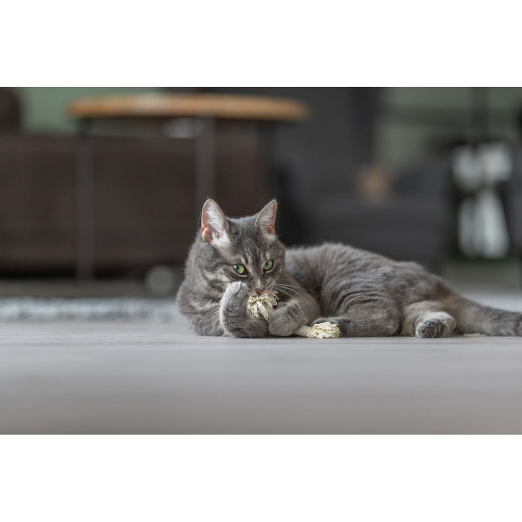 Trixie Cat Rope Toy