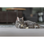 Trixie Cat Rope Toy