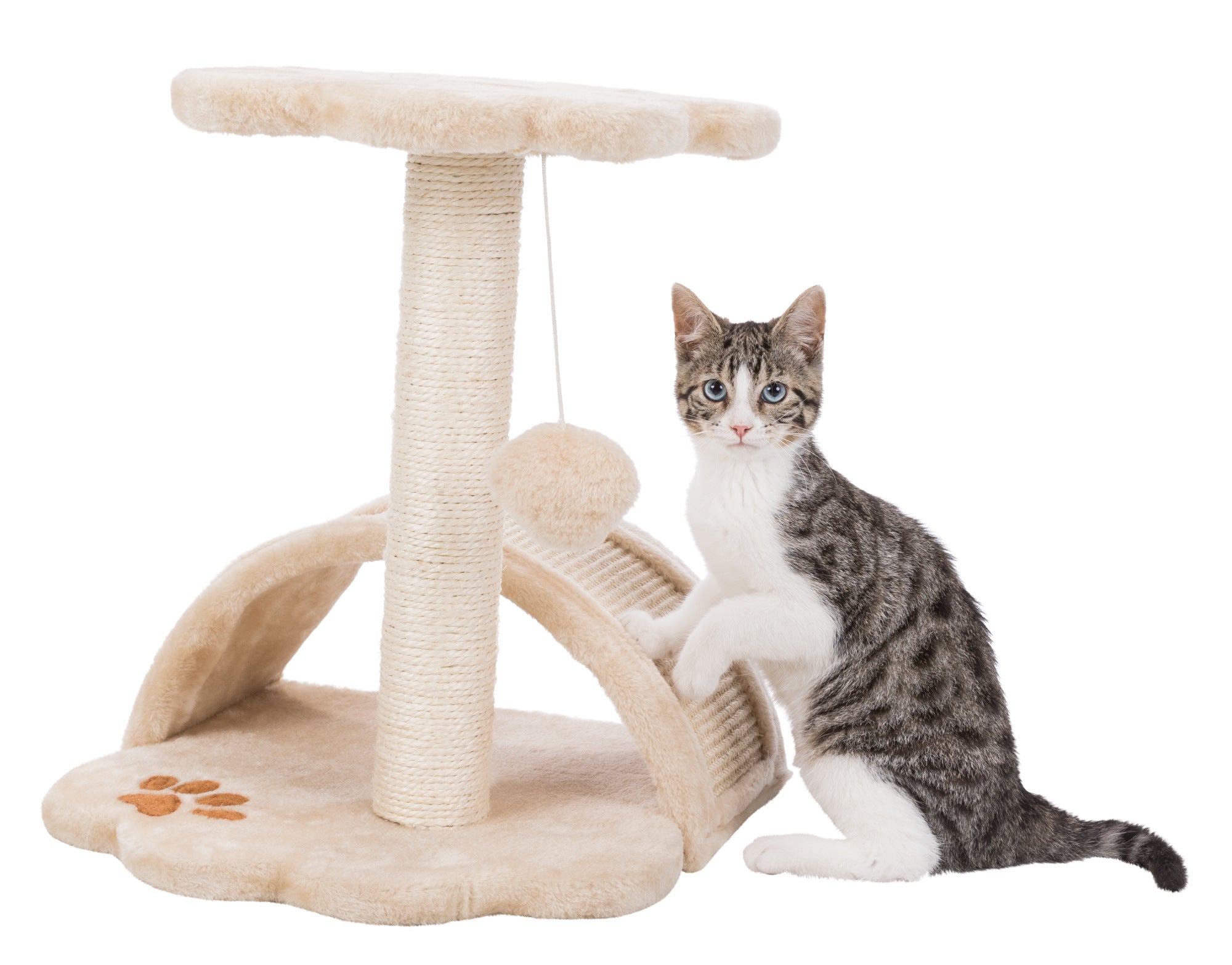 Vitoria Junior Cat Scratching Post