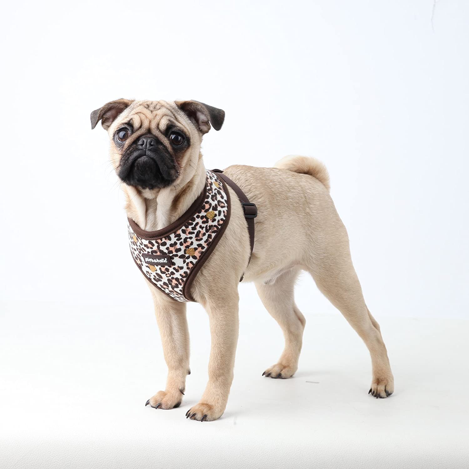 Arnés para Perro Leo Pug Pinkaholic