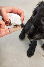 Dente para perros MiaCara