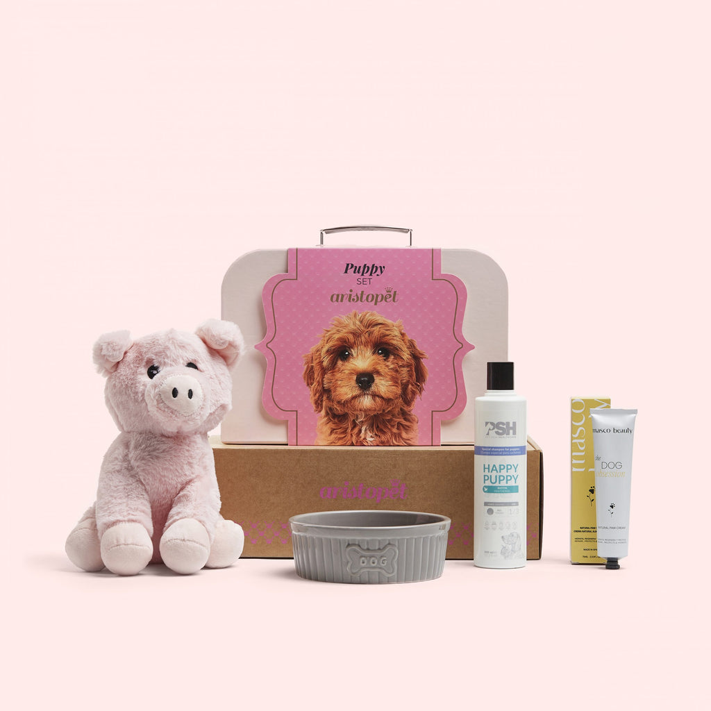 Blue Puppy Kit for puppies