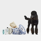 Kit Toile de Jouy para perros