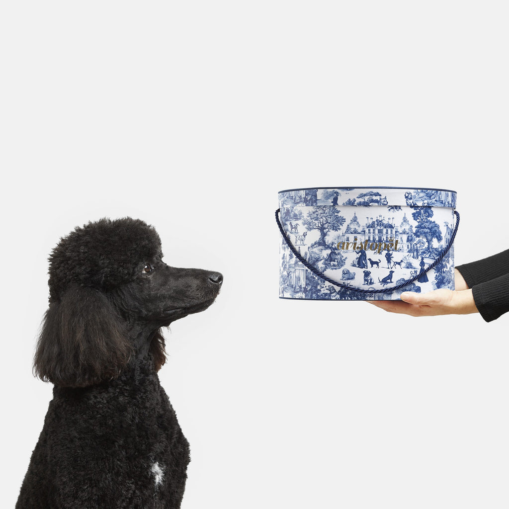 Kit Toile de Jouy para perros