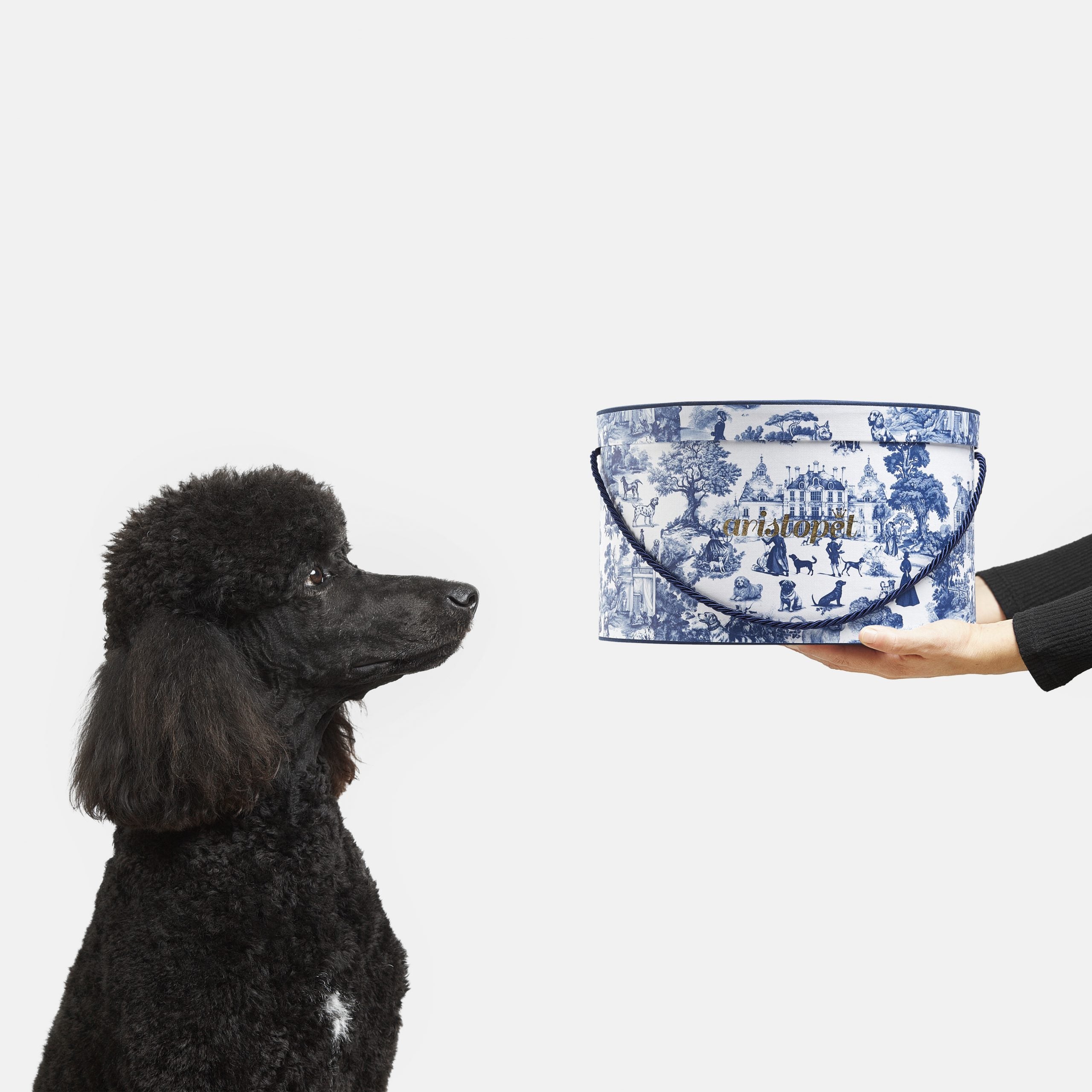 Kit Toile de Jouy para perros