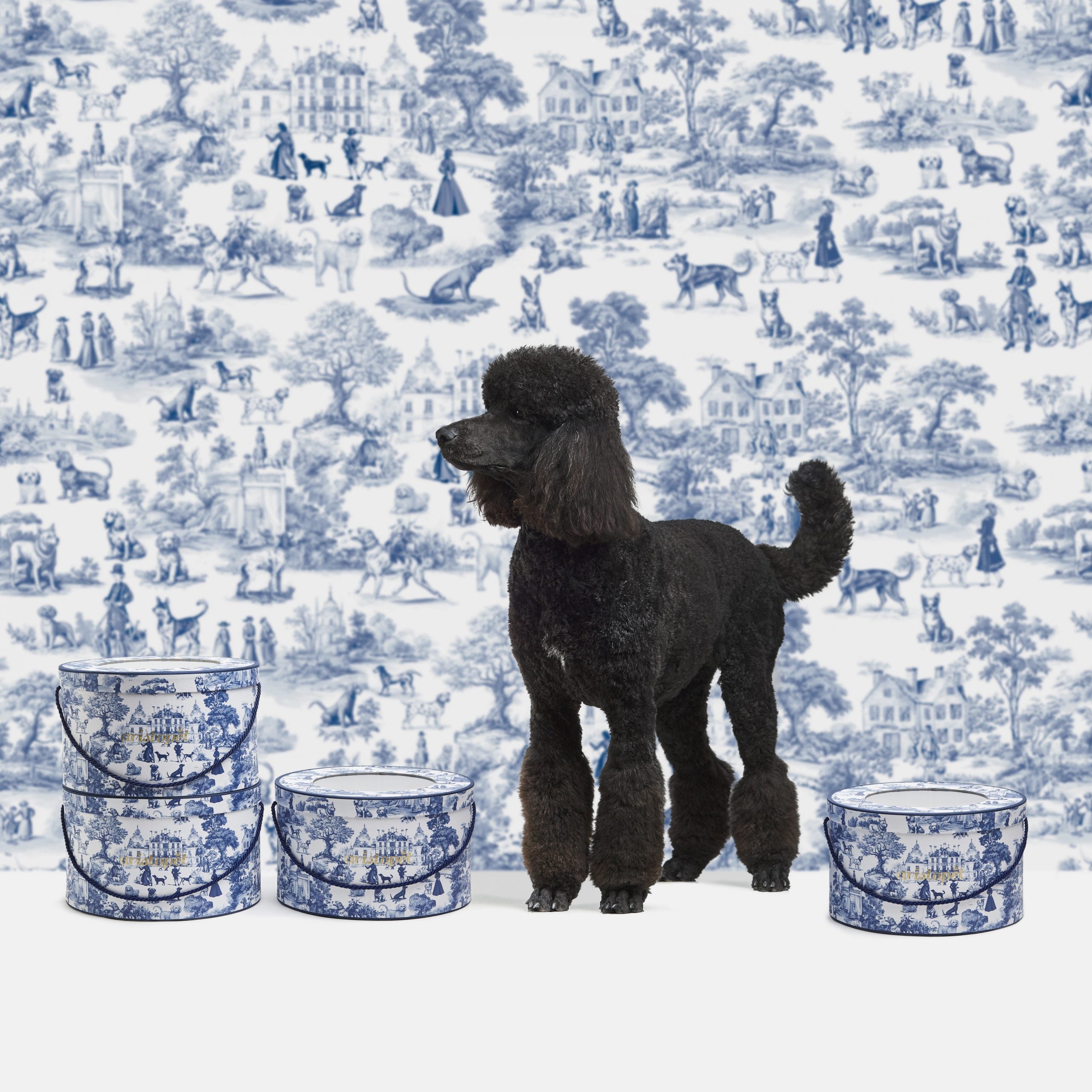 Kit Toile de Jouy para perros